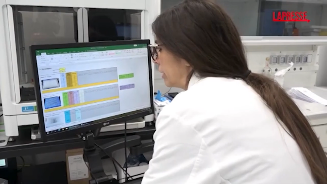 Bari con 'Genoma' la rivoluzione pugliese nel campo dello screening genetico - LaPresse