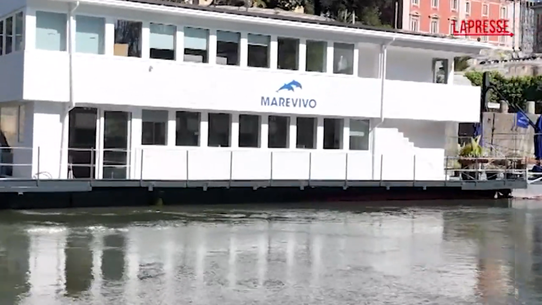 Marevivo Floating Hub Marevivo Floating Hub